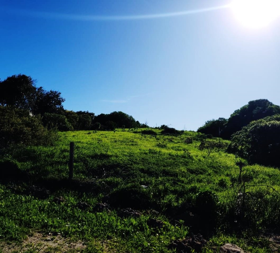 0 Bedroom Property for Sale in Saldanha Western Cape